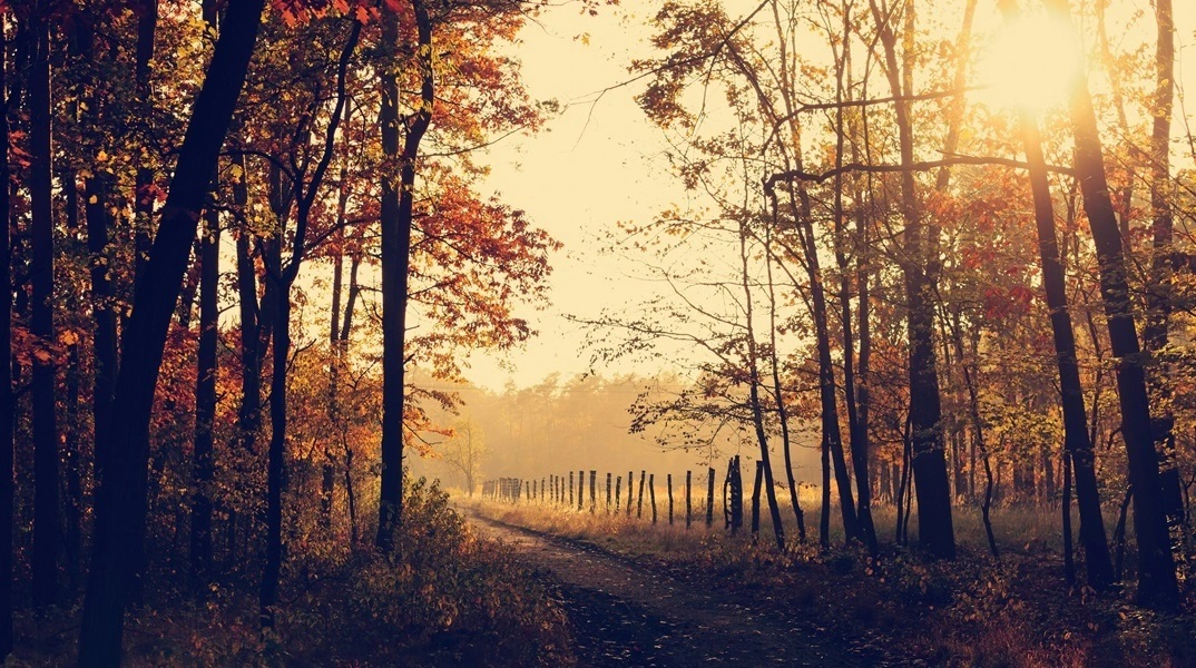 Εορτολόγιο