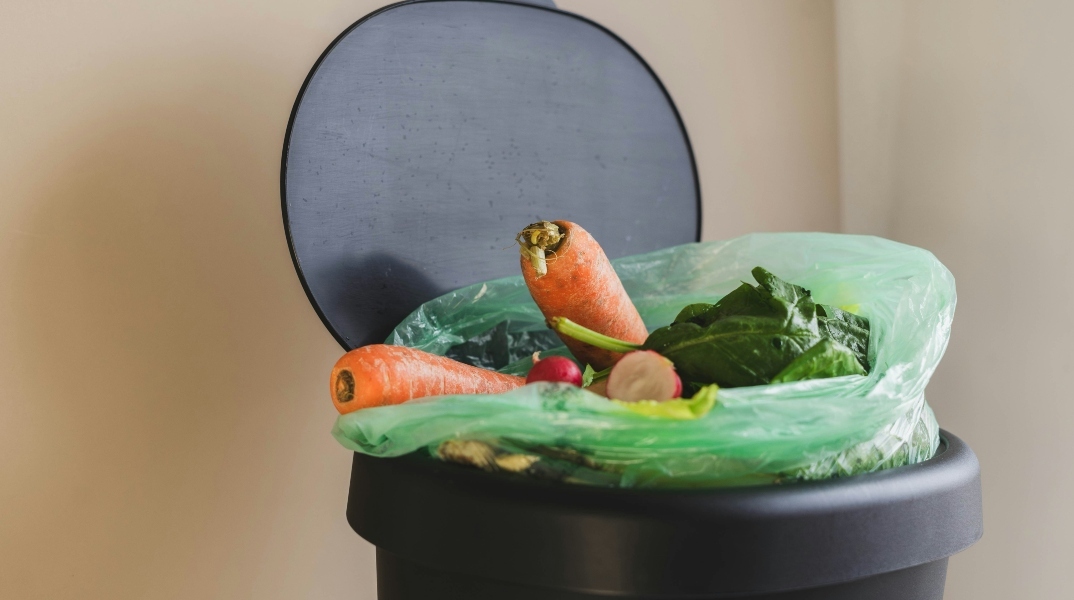 φαγητο στα σκουπιδια