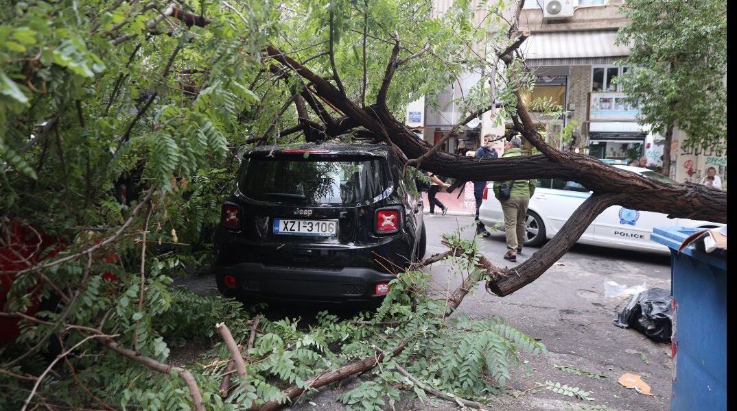 Πτώση δέντρου στην οδό Μπενάκη – Καταπλάκωσε αυτοκίνητο