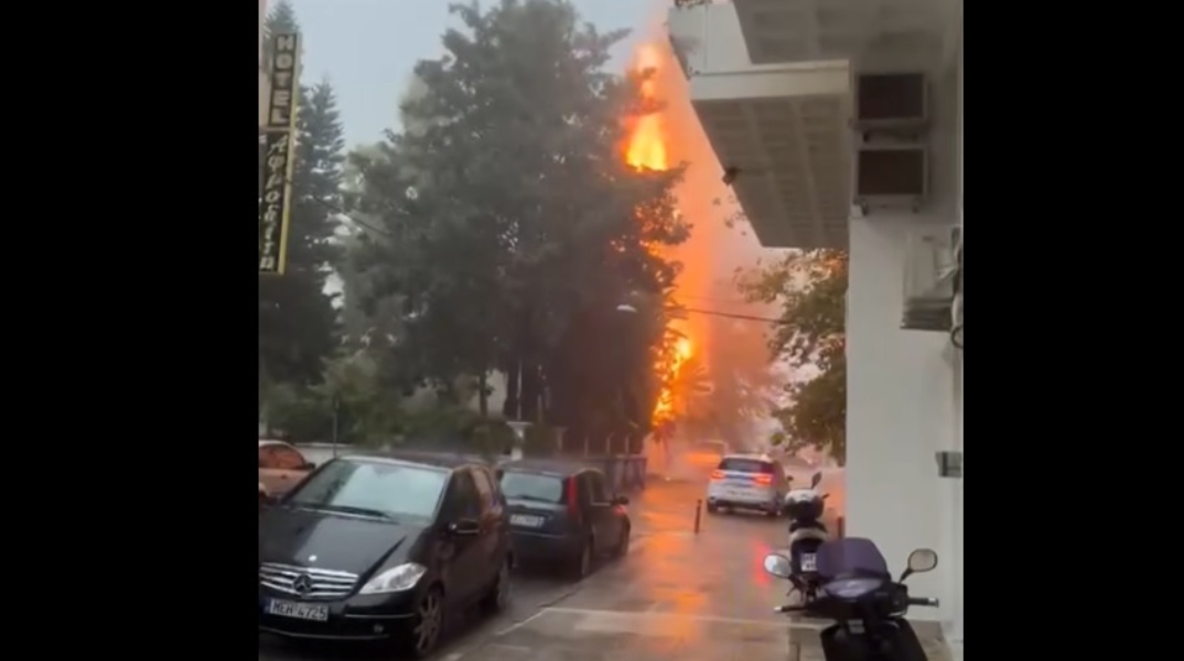 Ναύπακτος: Δέντρο άρπαξε φωτιά από κεραυνό