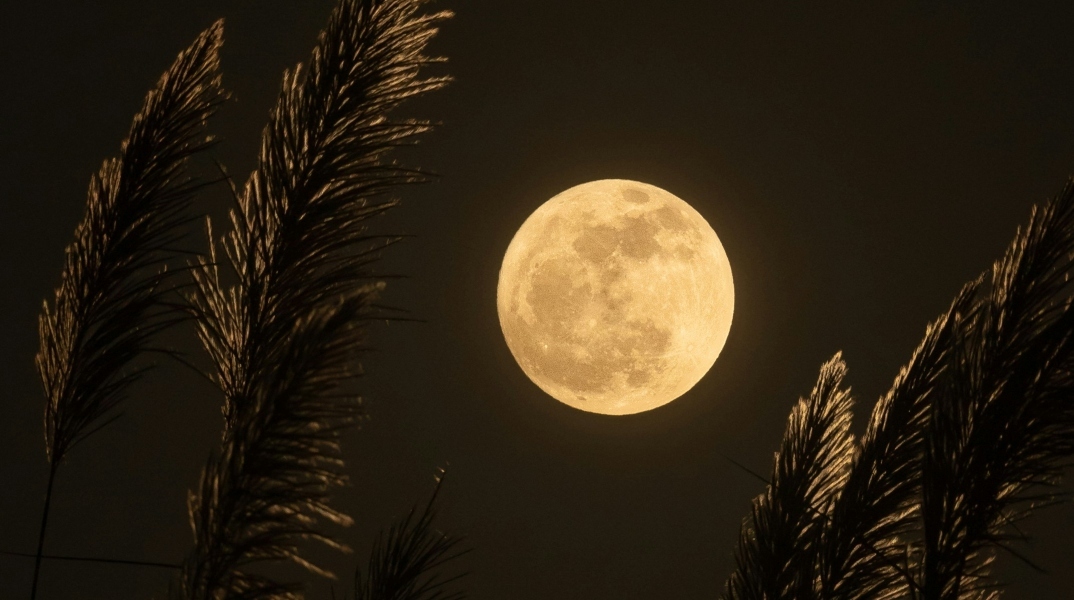 Πανσέληνος 