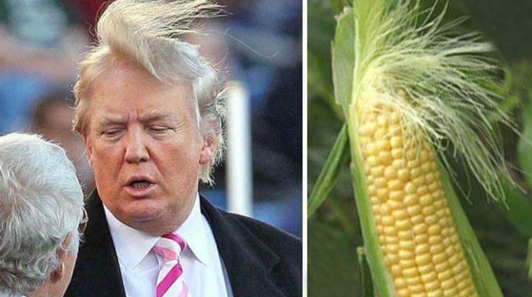 Η Πολιτική των μαλλιών: Γιατί το χτένισμα έχει σημασία στην εξουσία;