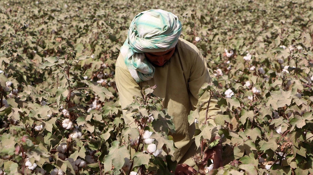 Αφγανιστάν: «Εσκεμμένα» περιορισμένη πρόσβαση μέσω κινητών σε Facebook, Instagram και Snapchat