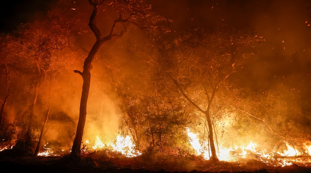 πυρκαγιές στον Αμαζόνιο