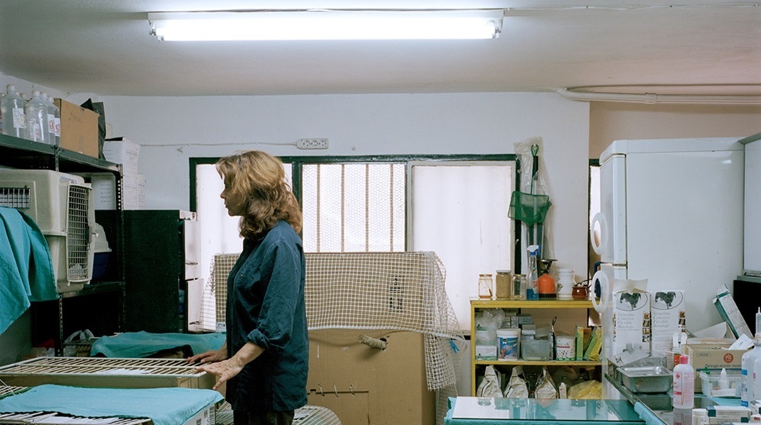 Interludes - Αγγελικής Σβορώνου