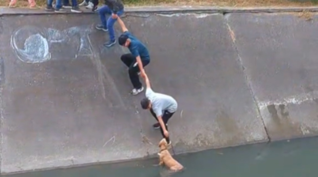 Κολομβία, διασωση σκυλο απο καναλι