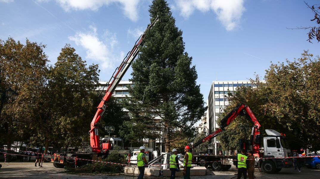 Η Αθήνα μπαίνει σε γιορτινούς ρυθμούς: Έφτασε το χριστουγεννιάτικο δέντρο από τη Βυτίνα