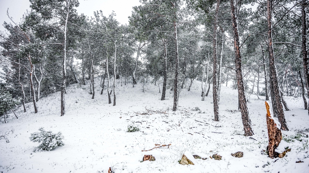 Καιρός: Χιόνια