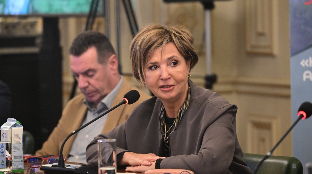 Η Όλγα Γεροβασίλη