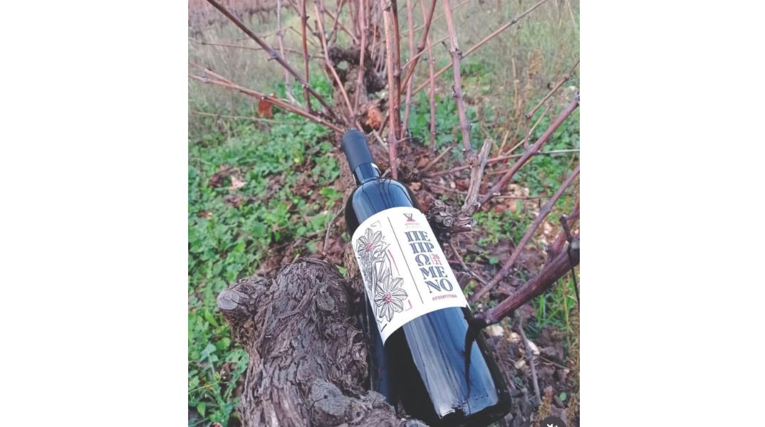 Οινοποιείο Δραϊνάς