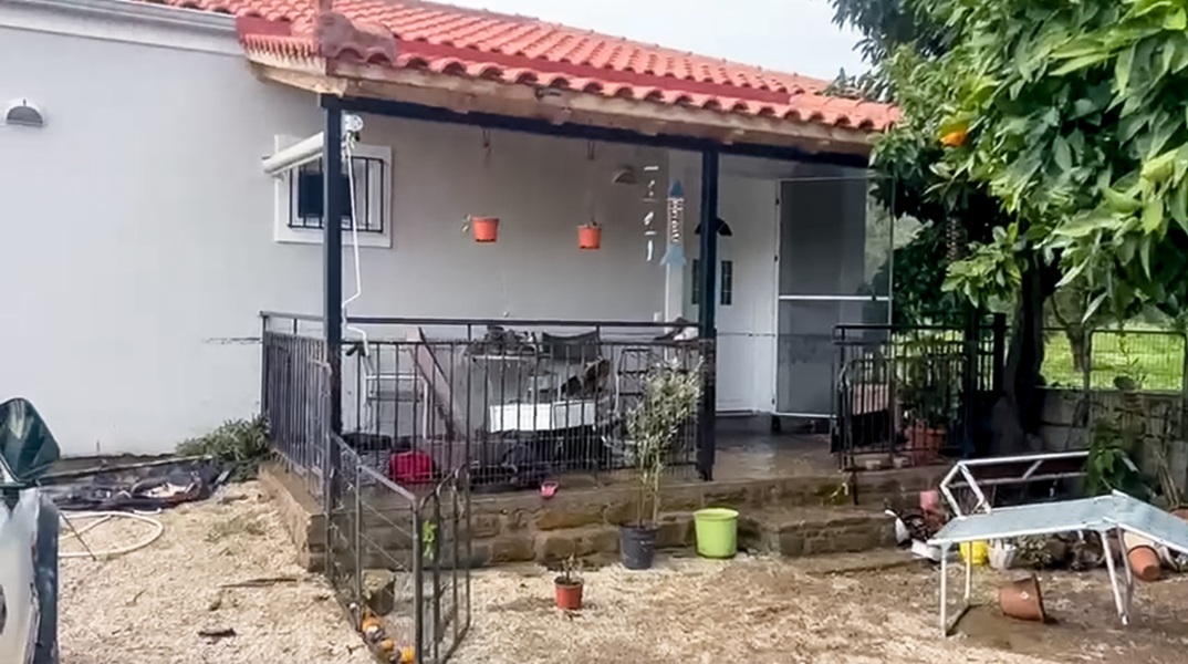 Βγήκαν από τα παράθυρα μαζί με τρία σκυλιά και κολύμπησαν -  Τουρίστες σώθηκαν από «θαύμα» στη Φοινικούντα