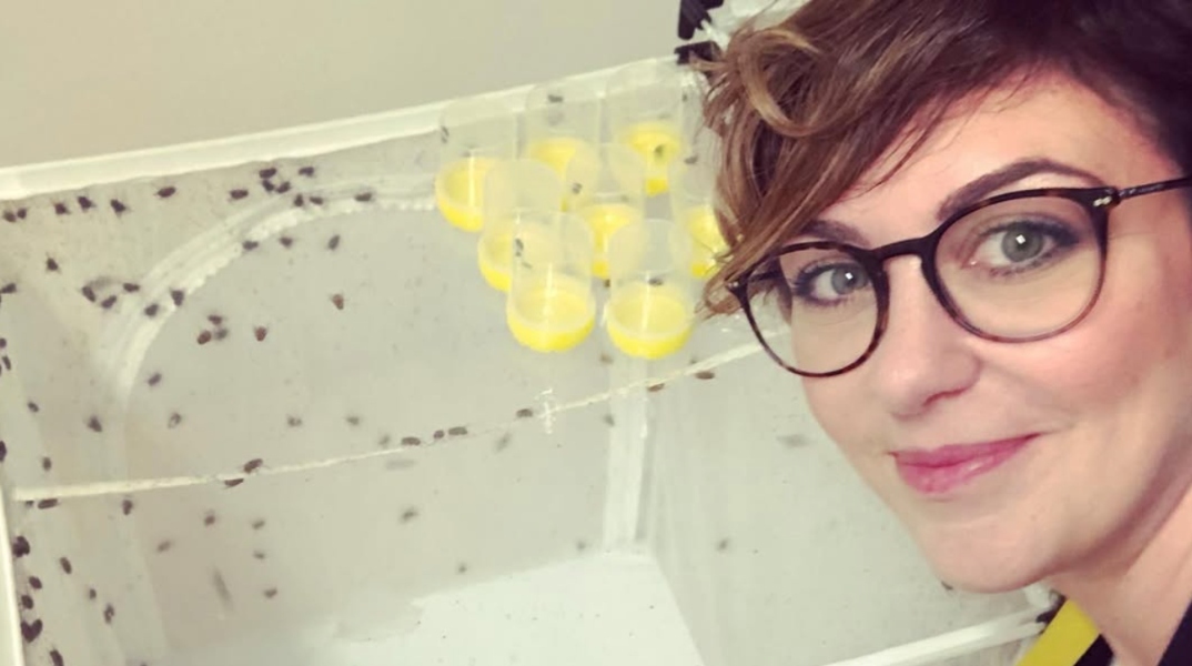 Ποια είναι η επιστήμονας που χρησιμοποιεί έντομα για να ξεσκεπάσει ανεξιχνίαστους φόνους;