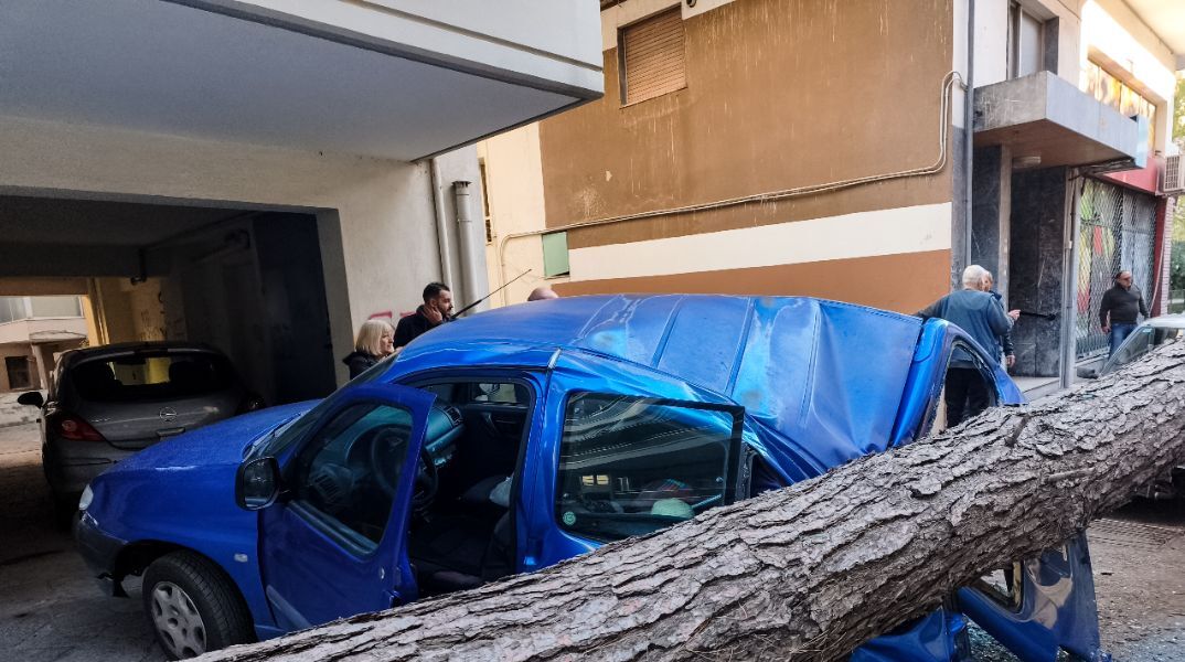 Θεσσαλονίκη: Πτώση μεγάλου δένδρου στη Χαριλάου- Ζημιές σε σταθμευμένα ΙΧ