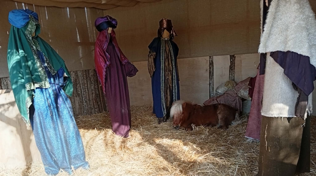 πόνι σε φάτνη