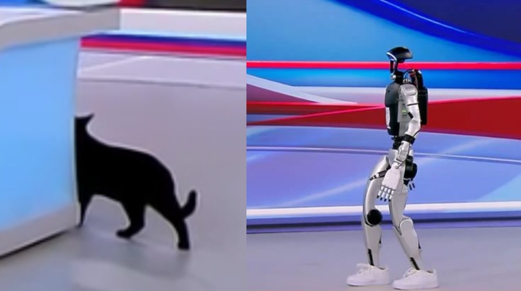 Τα... είδε όλα ο γατούλης του ΣΚΑΪ με το ρομπότ «Σοφία» - Έτρεχε να κρυφτεί 
