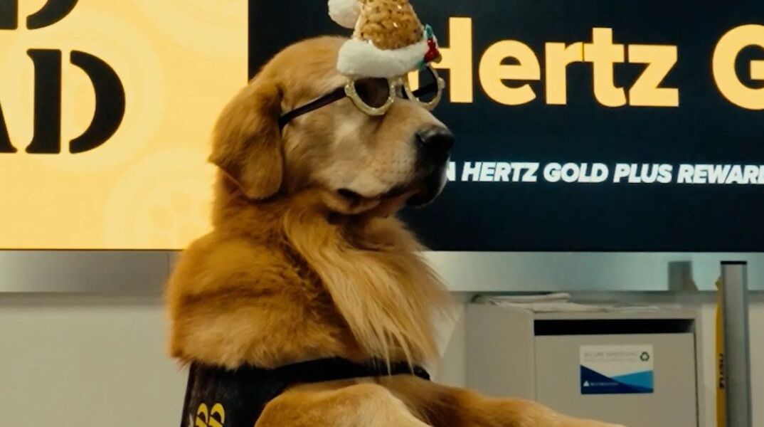 Σκύλοι στη θέση των ηρεμιστικών: Golden Retrievers μειώνουν το άγχος των ταξιδιωτών σε αεροδρόμιο 