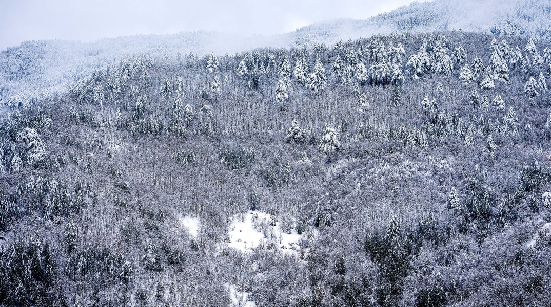 Πρωτοχρονιά με επέλαση ψύχους - Ο καιρός μέχρι το τέλος του 2025