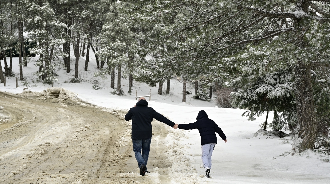 Χιονόπτωση στην Πάρνηθα