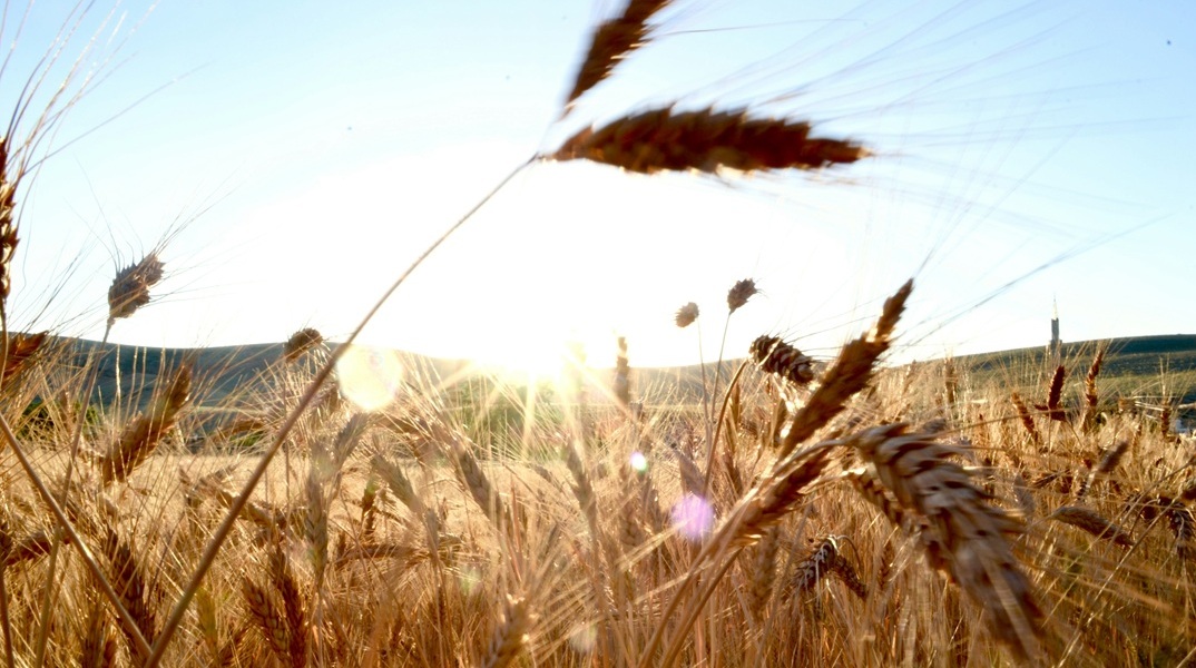 Τι σημαίνει η εμπορική συμφωνία της ΕΕ με τη Mercosur για την Ελλάδα - Οι νέες ευκαιρίες και φθηνότερες εξαγωγές 
