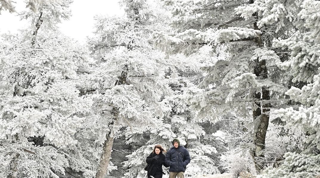 Σε ποιες περιοχές θα χιονίσει αύριο- Αναλυτική πρόγνωση του καιρού