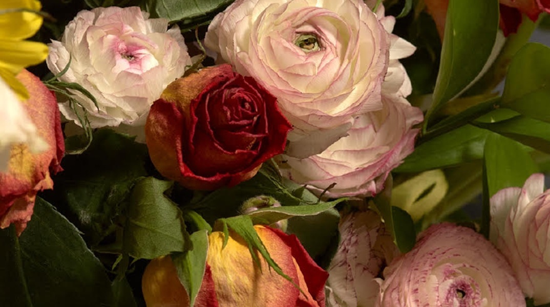 «Rude in the Good Way» - Φωτογραφική έκθεση του Roe Ethridge