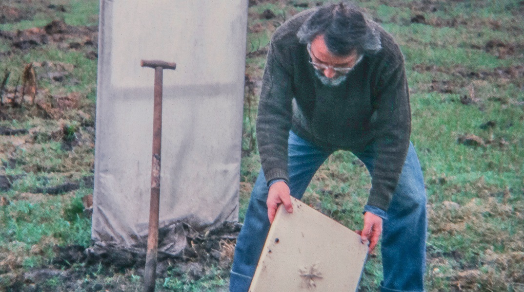 Στάθης Λογοθέτης: «Στη Γη»