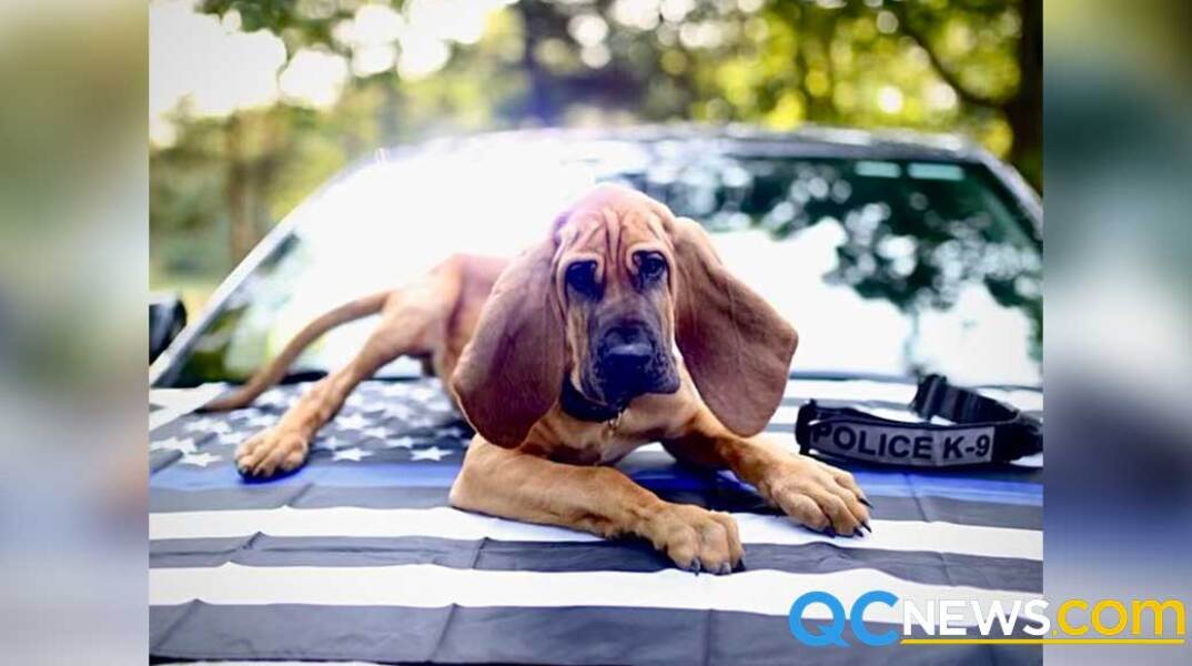 Αστυνομικός σκύλος-ήρωας έσωσε 13χρονο με αυτισμό εν μέσω σφοδρής χιονοθύελλας στις ΗΠΑ