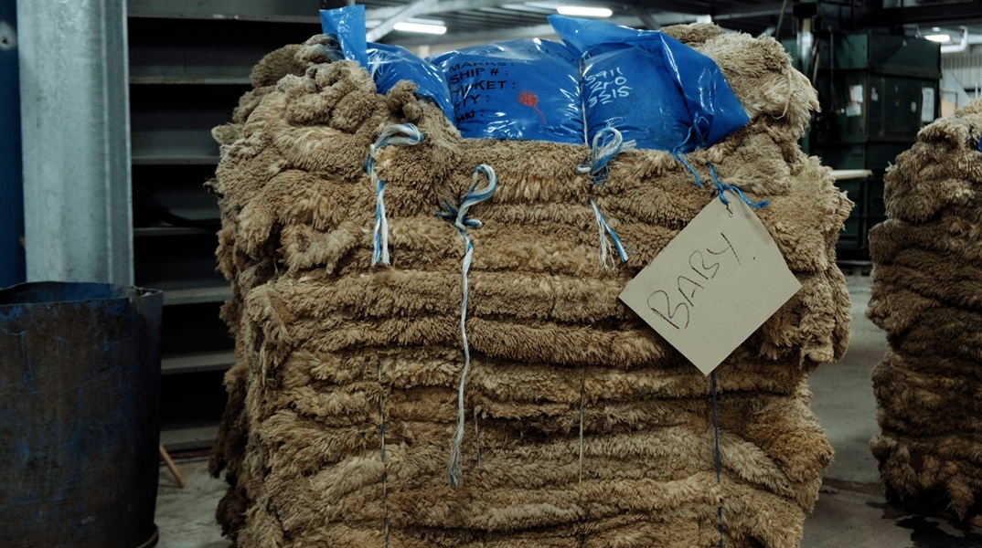 Δημόσιο Πρόγραμμα ΕΜΣΤ