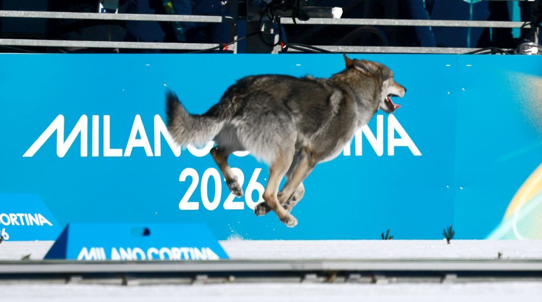 Ένας… τετράποδος πρωταθλητής - Χαριτωμένος σκύλος τερμάτισε μαζί με τις σκιέρ στους Χειμερινούς Ολυμπιακούς Αγώνες