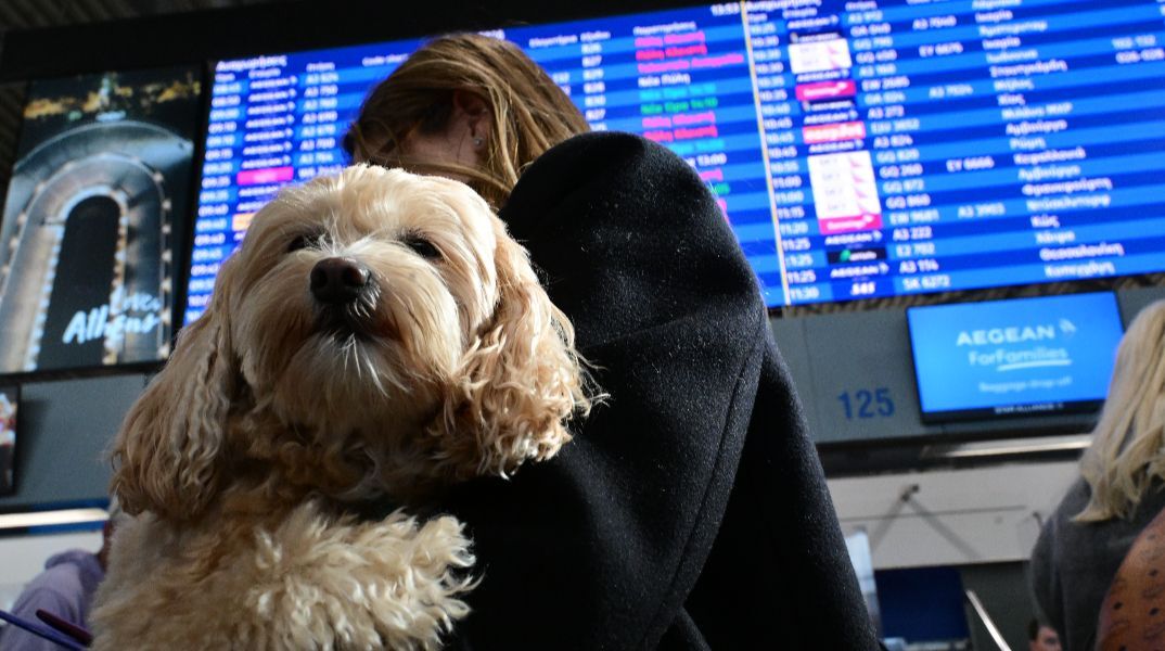 Ανάφλεξη στη Μέση Ανατολή: Ποιες ελληνικές πτήσεις έχουν ακυρωθεί