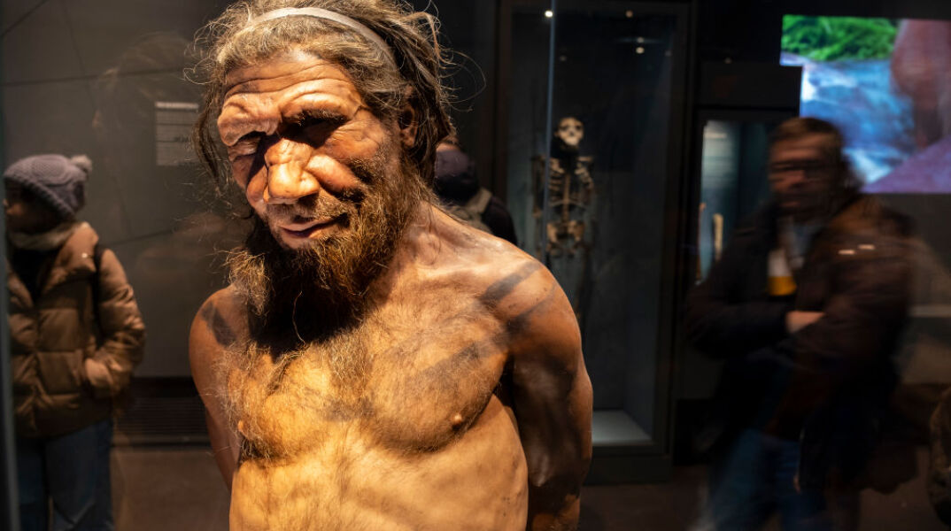 Μελέτη: Οι Νεάντερταλ ζευγάρωναν συχνότερα με γυναίκες Homo sapiens