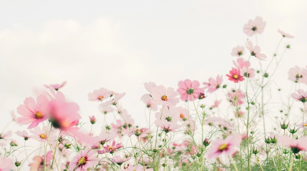 Εορτολόγιο: Σήμερα 12 Μαρτίου 2026 γιορτάζει…