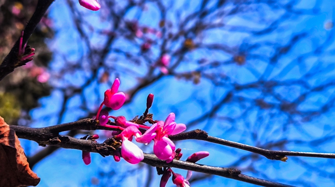 Καιρός αύριο