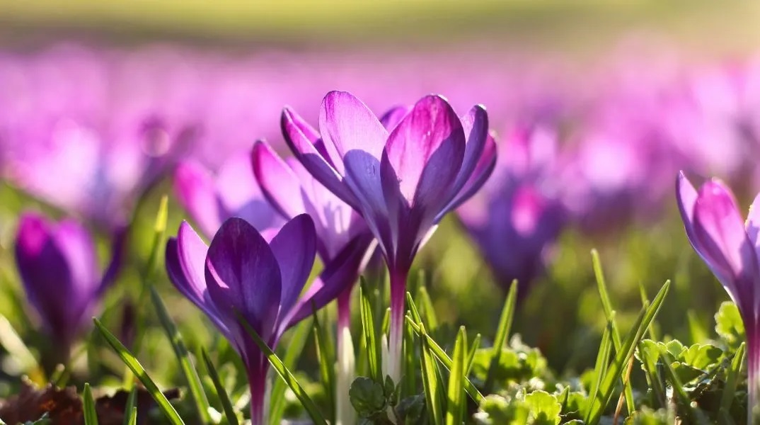 Εορτολόγιο: Σήμερα 13 Μαρτίου 2026 γιορτάζει..