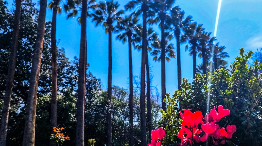 Καιρός αύριο