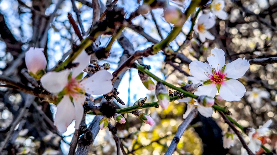 Αίθριος ο καιρός σήμερα