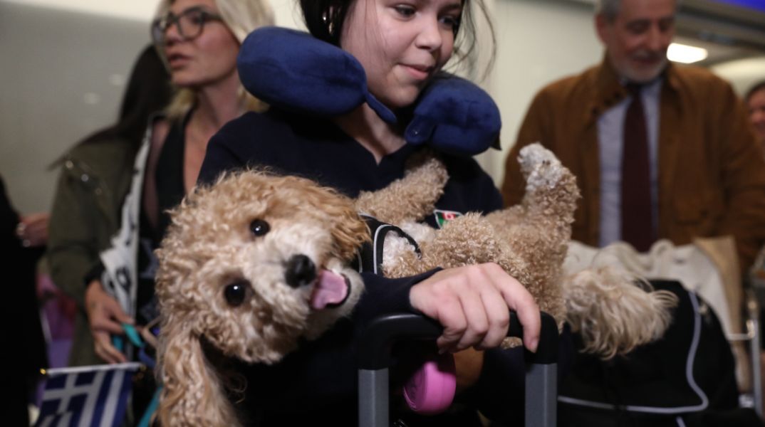 Επαναπατρίστηκαν οι Έλληνες με τα κατοικίδια τους από το Άμπου Ντάμπι