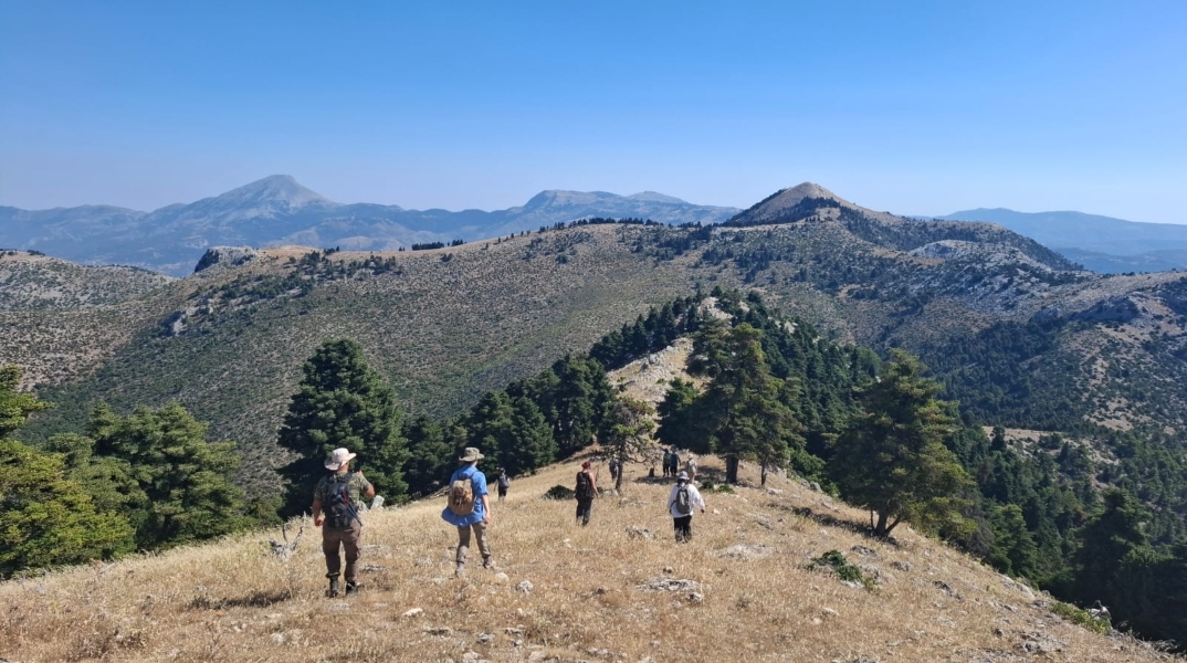 Επιφανειακή έρευνα μεταξύ Ερέτριας και Αμαρύνθου παρέχει νέα στοιχεία για την εξέλιξη του τοπίου σε βάθος χρόνου