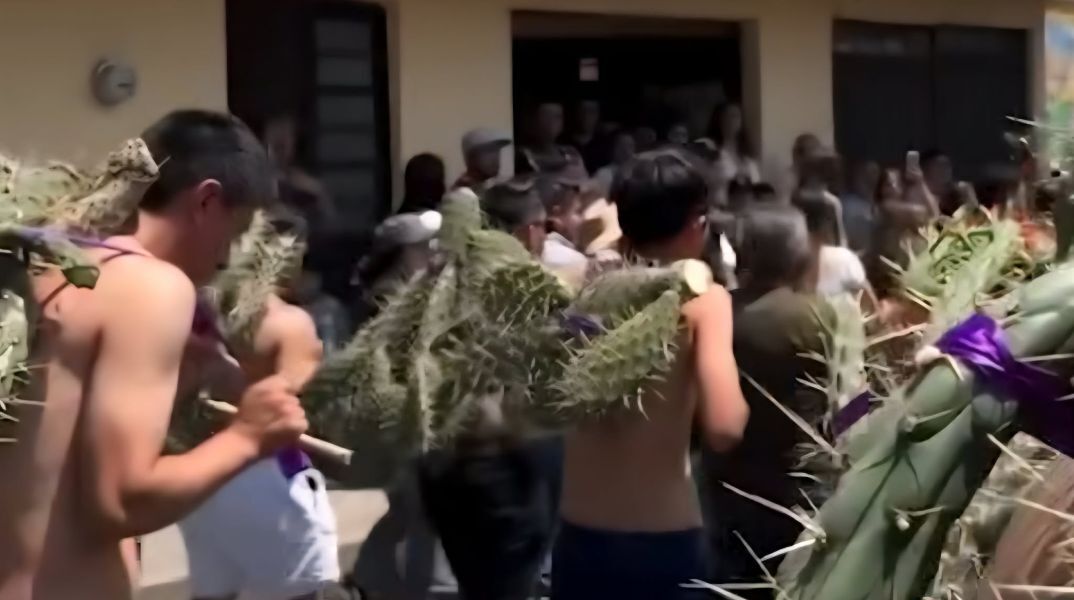 Η πομπή των κάκτων στο Μεξικό