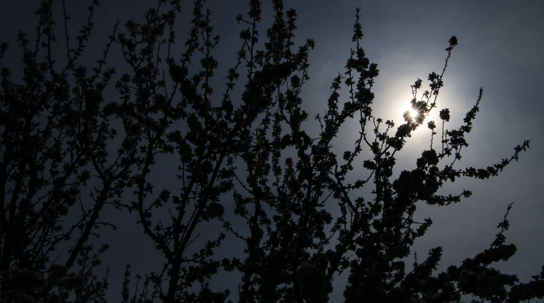 Καιρός αύριο: Συννεφιά με τοπικές βροχές την Κυριακή του Πάσχα