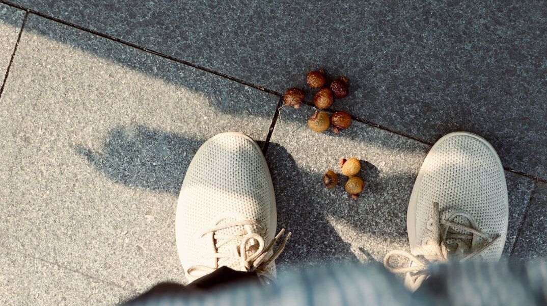 H Allbirds αφήνει τα sneakers και στρέφεται στην τεχνητή νοημοσύνη