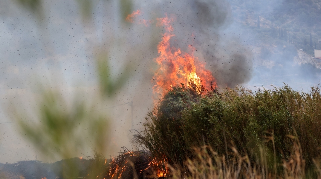 Εύβοια: Συνελήφθη 56χρονος για πρόκληση πυρκαγιάς σε δασική έκταση