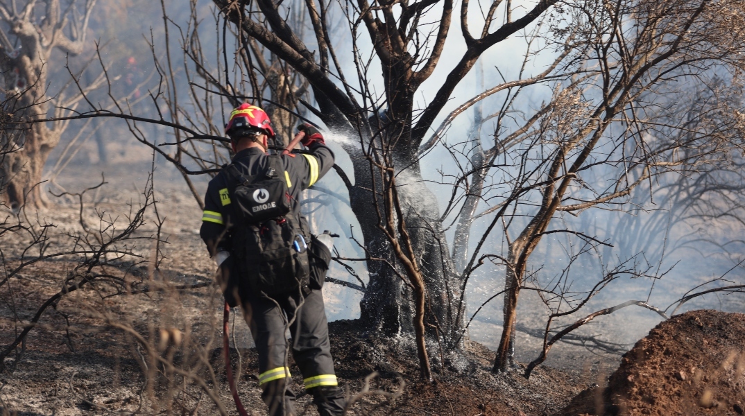Καλύτερη η εικόνα της φωτιάς στο Λέπρεο Ηλείας