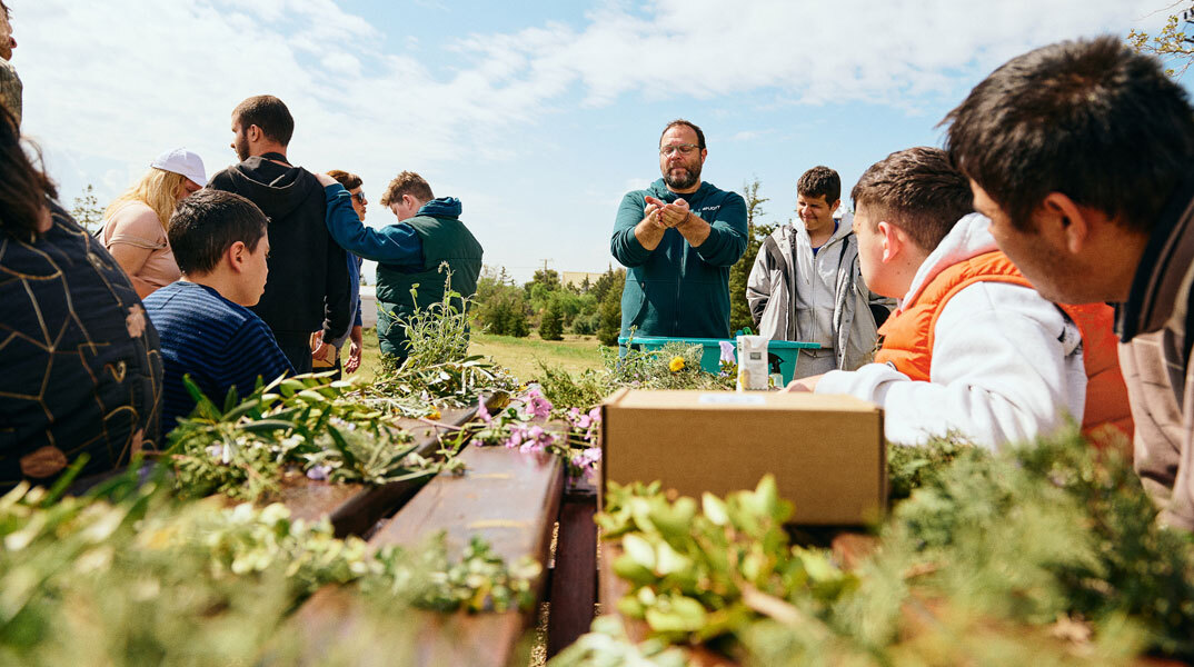 Αναδάσωση της Motor Oil