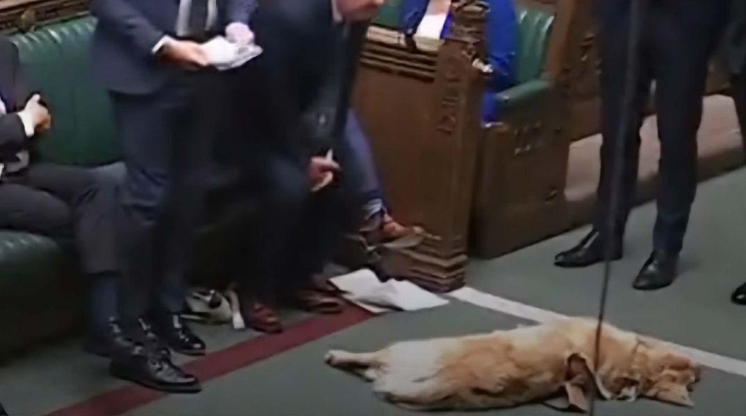 Σκύλος που κοιμάται στο βρετανικό κοινοβούλιο