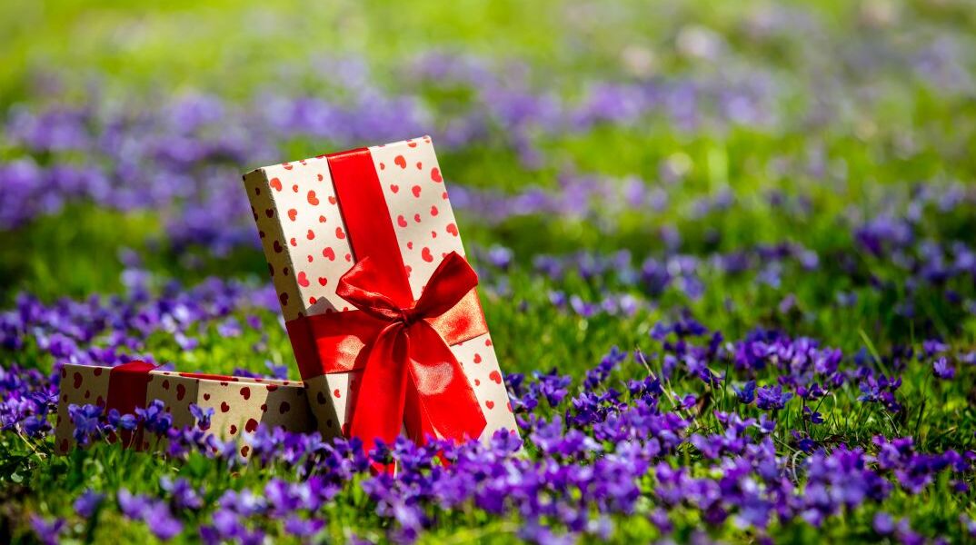 Δώρα σε ανθισμένο λιβάδι