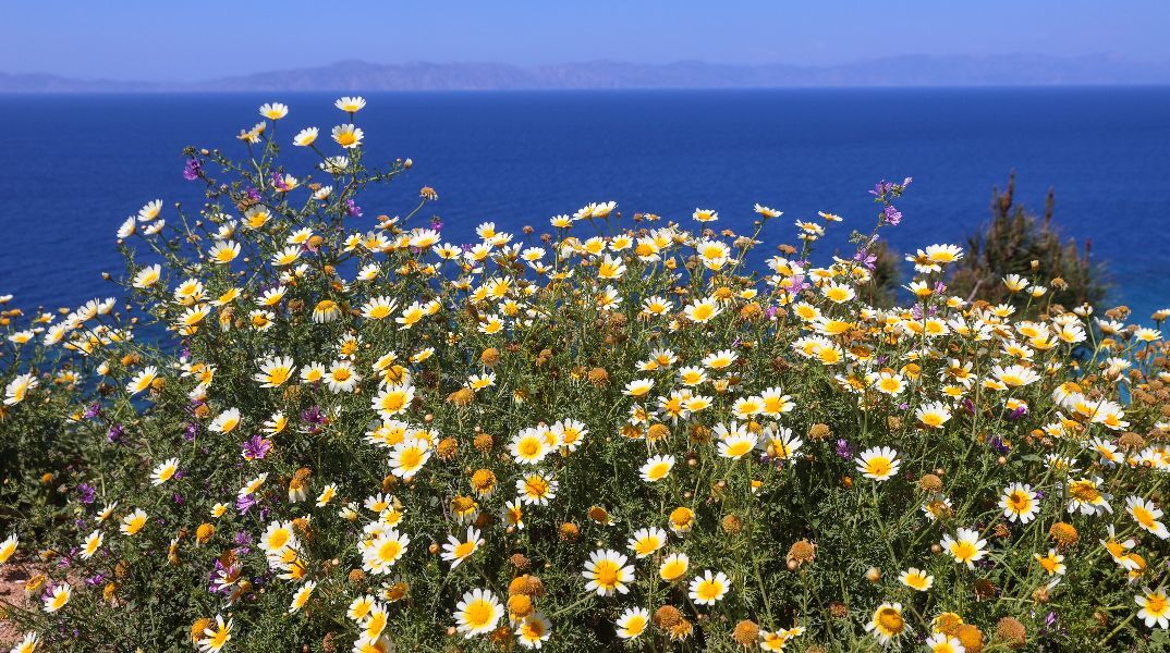 «Θα κοιμηθούμε με άνοιξη, θα ξυπνήσουμε με χειμώνα» - Η στροφή 180 μοιρών του καιρού την Πρωτομαγιά