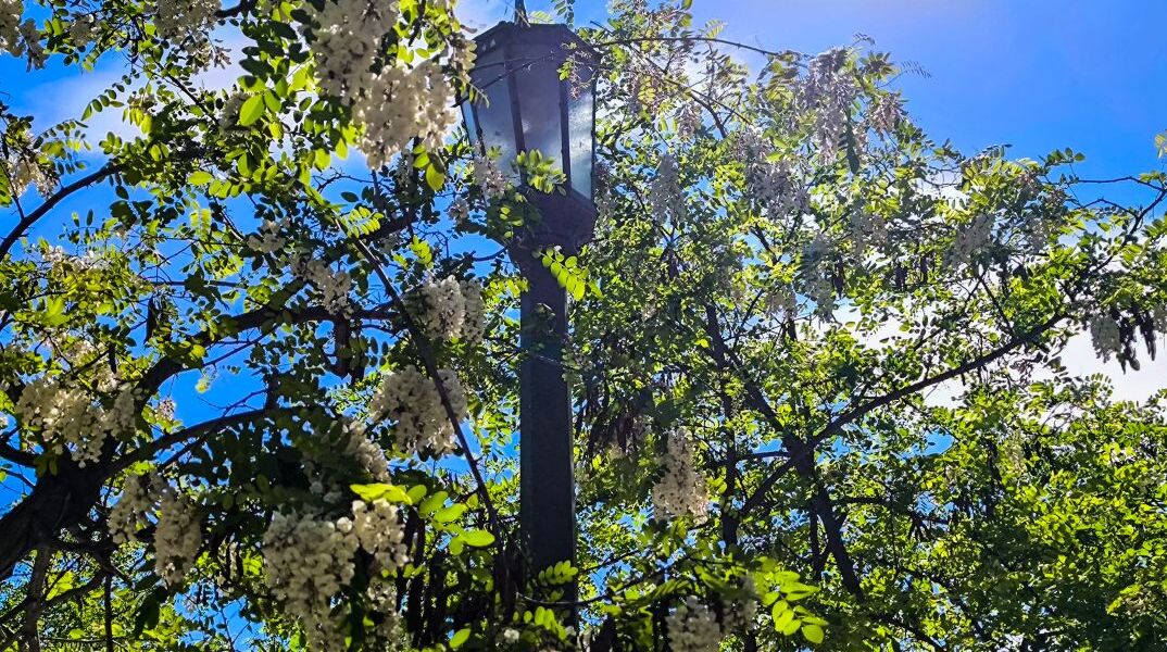 Ηλιοφάνεια στην Αθήνα