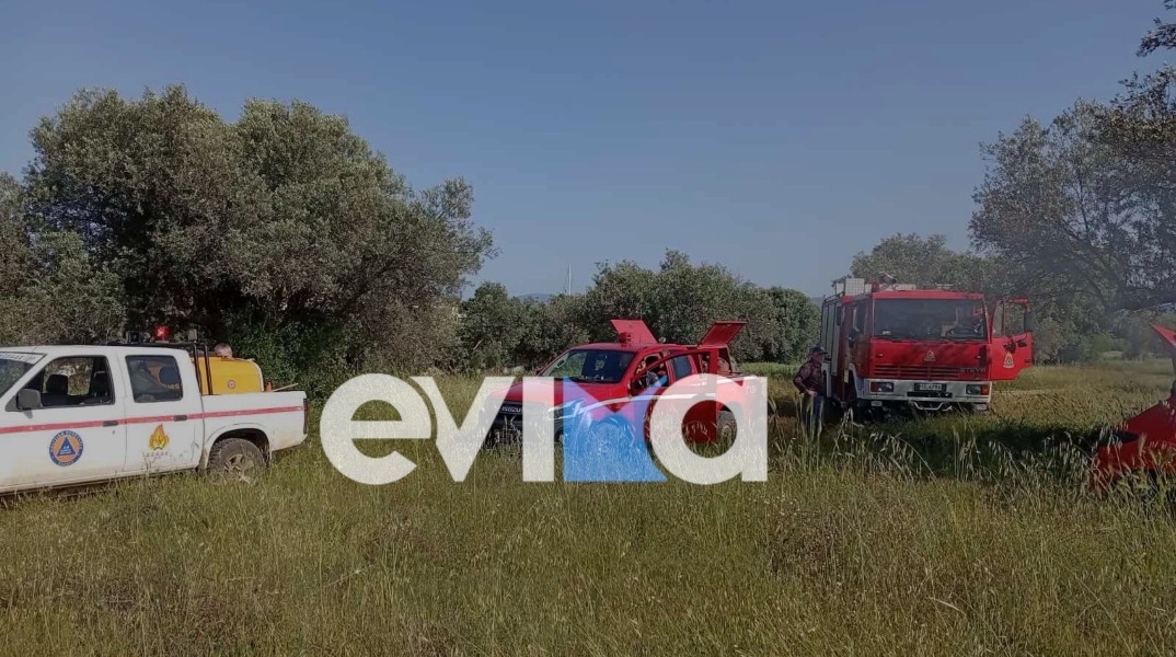 Σοβαρό τροχαίο στην Εύβοια, αυτοκίνητο έπεσε πάνω σε δέντρο και έπιασε φωτιά