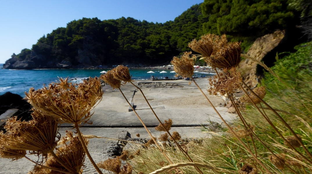 Καιρός: Τους 31 βαθμούς θα αγγίξει η θερμοκρασία αύριο